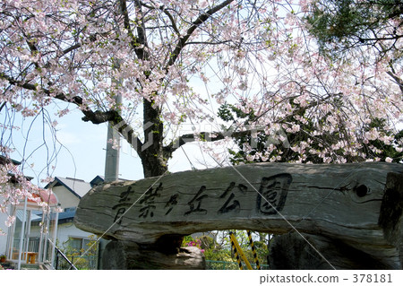 青葉Igaku公園 青葉Igaku公園 378181