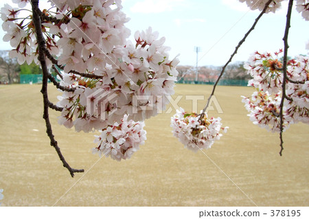 Aoba Igaku Park 378195