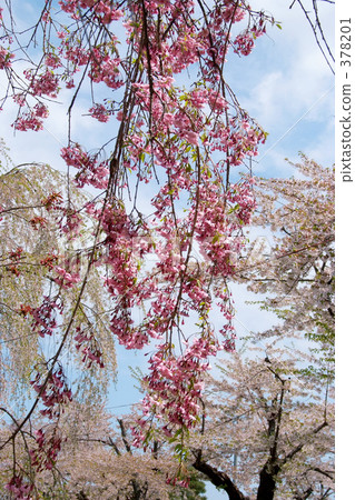 Aoba Igaku Park Aoba Igaku Park 378201