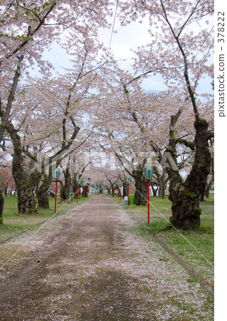 Aoba Igaku Park Aoba Igaku Park 378222