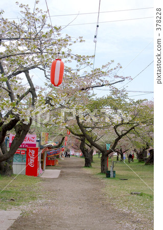 青葉Igaku公園 378228