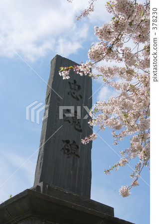 青葉Igaku公園 378230