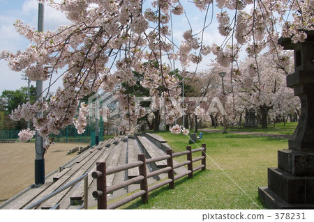 青葉Igaku公園 青葉Igaku公園 378231
