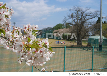 Aoba Igaku Park 378232