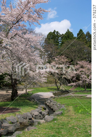 Aoba Igaku Park Aoba Igaku Park 378237