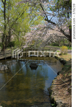 Aoba Igaku Park 378239