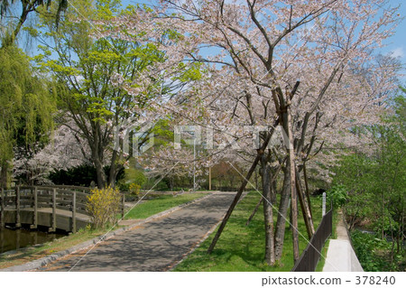青葉Igaku公園 378240