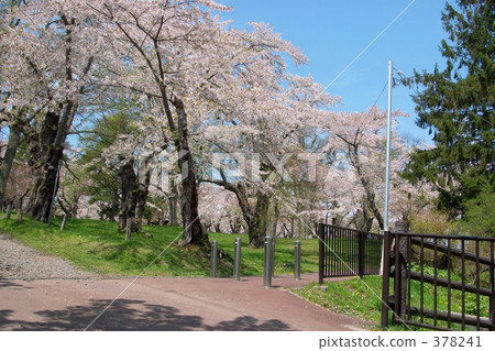 青葉Igaku公園 378241