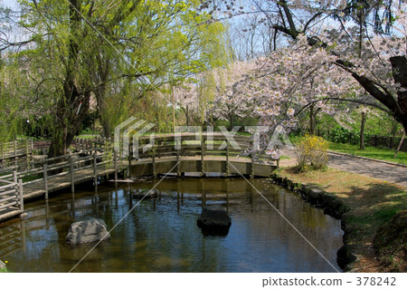 青葉Igaku公園 378242