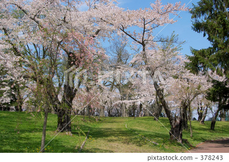 Aoba Igaku Park Aoba Igaku Park 378243