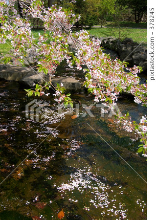 青葉Igaku公園 378245