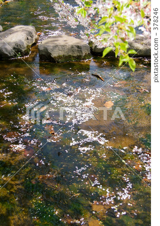 青葉Igaku公園 378246