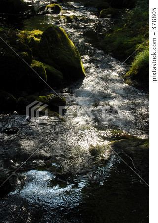 陽光葉子和清澈的溪流 陽光葉子和清澈的溪流 378805