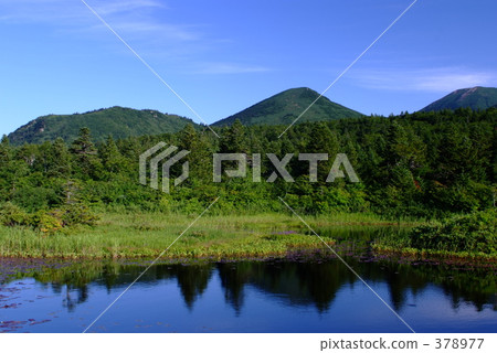 Hakkoda夏天的荷花領域 Hakkoda夏天的荷花領域 378977