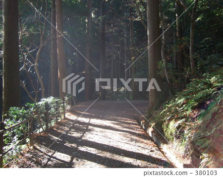 Woods	 380103