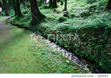 Spring waterway 380467