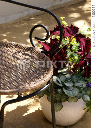 Rattanite and houseplant 380953