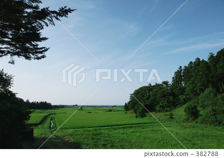 Oga - Rural landscape - 01 382788