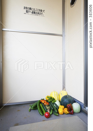 Veranda vegetables 383606