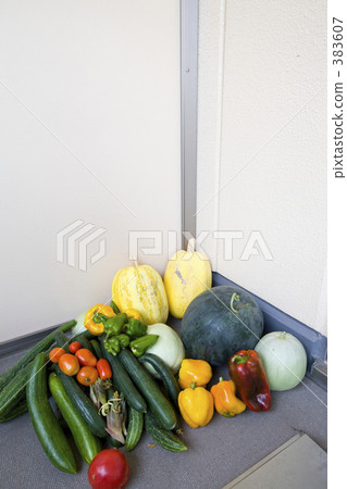 Veranda vegetables 383607