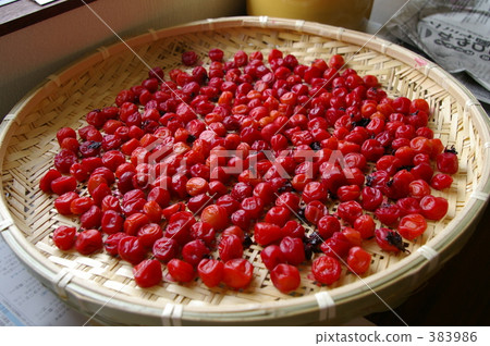 咸梅 咸梅 383986