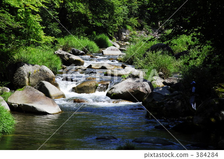 Otomi Shikanekyo 384284