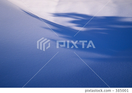 新鮮的雪早晨 385001