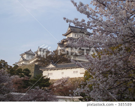 Sakura and Himeji Castle 385589