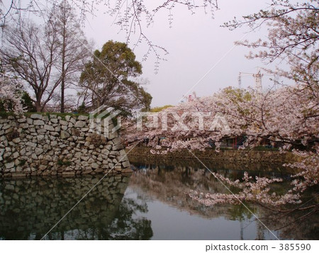 View of Himeji castle Uchibori View of Himeji castle Uchibori 385590
