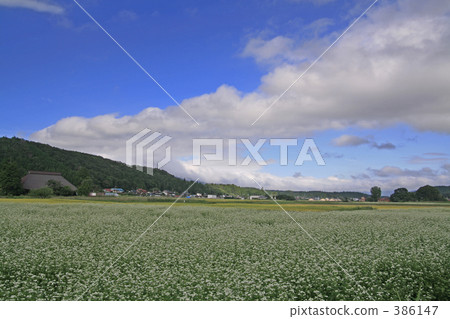 鄉間別墅在初秋 386147