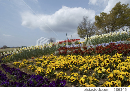 Fuefukukawa Fruit Park Fuefukukawa Fruit Park 386346
