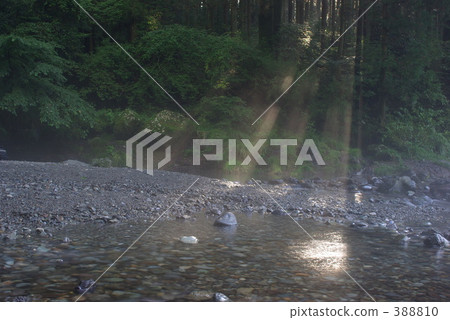 Tree leak day and clear stream 388810