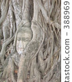 Buddha statue buried in trees 388969