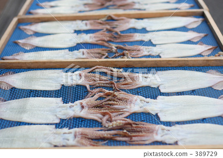 Squid's sun-dried squid 389729