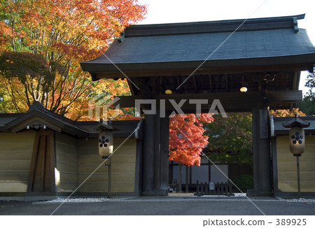高野山秋葉 高野山秋葉 389925