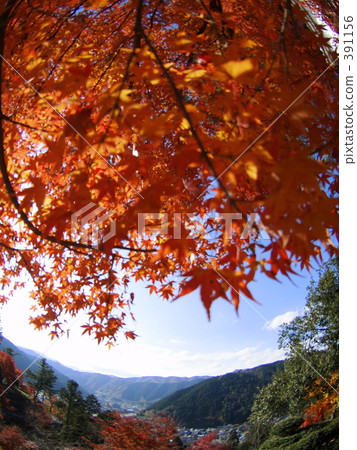 View of Yamasato View of Yamasato 391156