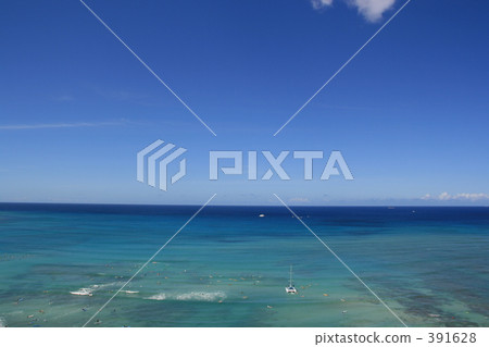 Sea Sea 391628