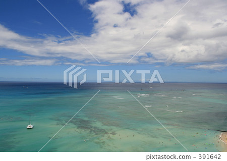 Sea Sea 391642