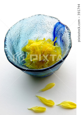 Oitake of chrysanthemum 391744