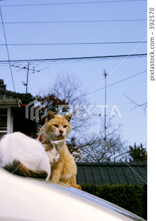 一個好朋友 392570