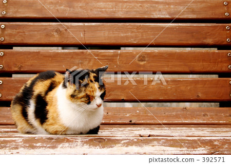 I will take a break on the bench ~ I will take a break on the bench ~ 392571