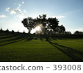 Park golf Sunset shadow lawn cloud Park golf Sunset shadow lawn cloud 393008