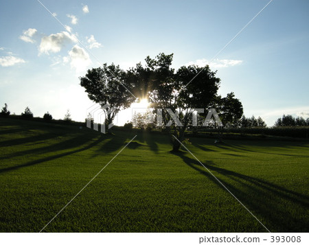 Park golf Sunset shadow lawn cloud Park golf Sunset shadow lawn cloud 393008