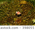 Autumn water surface 398055
