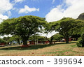 Kualoa Ranch 399694