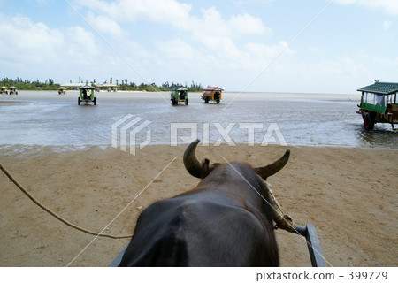 Yuku島的水牛城 399729
