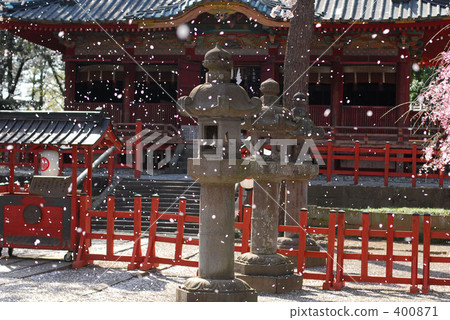 櫻吹雪 400871