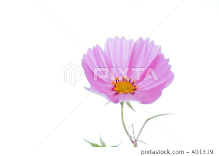 宇宙 宇宙 401319