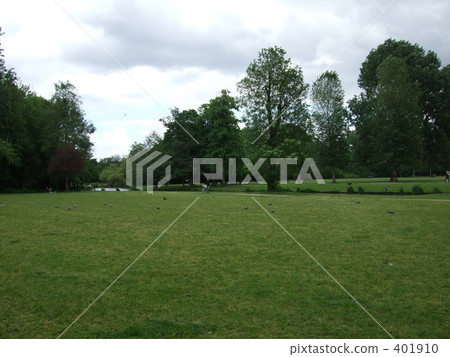 lawn, overcast, green 401910