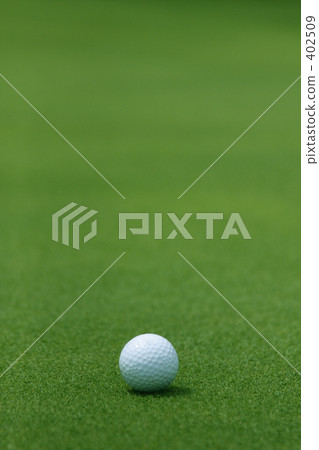 Golf ball Ⅰ 402509